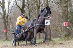 oefenmarathon 2016 MG 0250-0250 